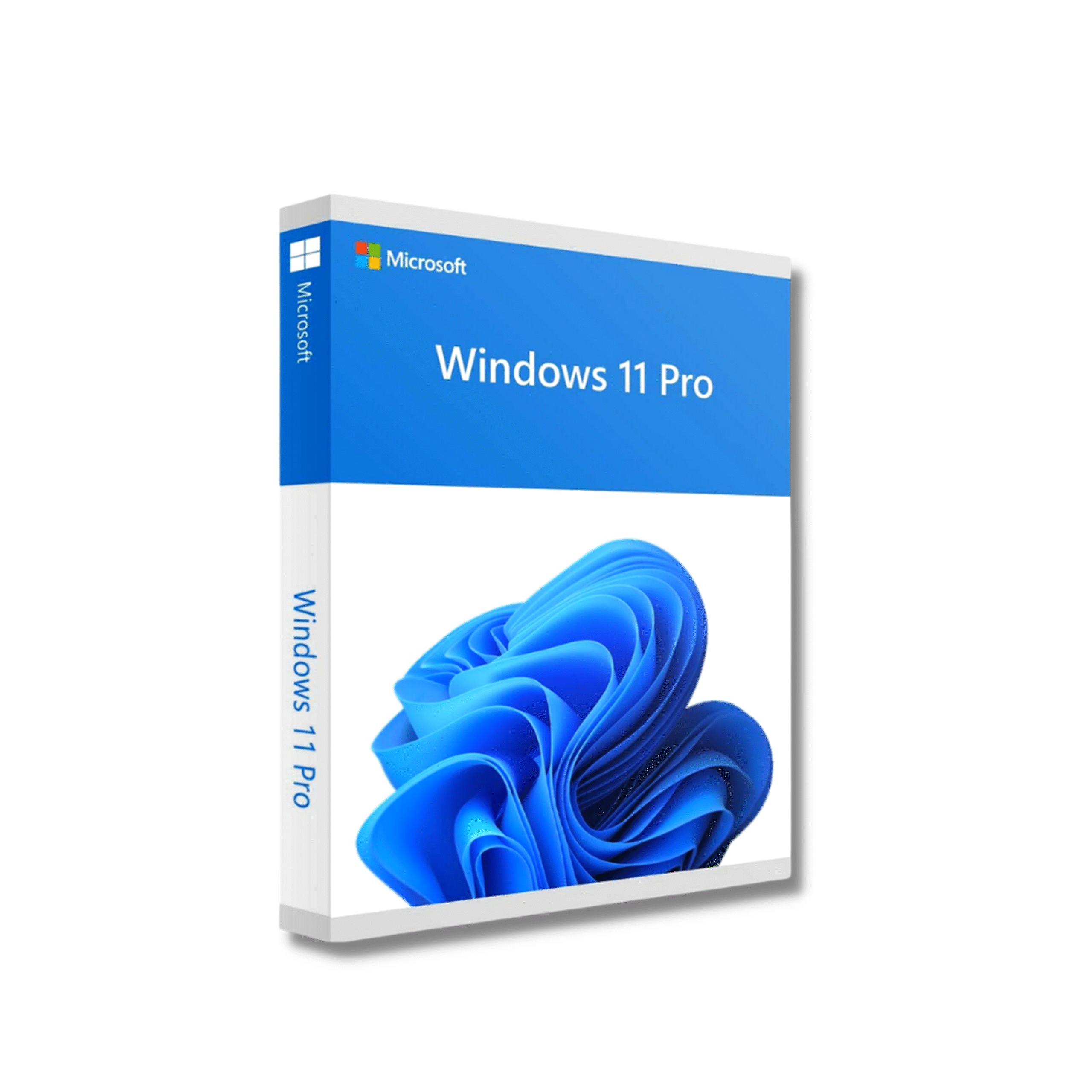 Windows 11 Pro